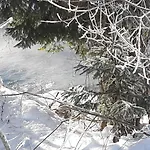 Alpenlodge Kirchbach (Carinthia)