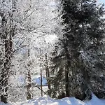 Alpenlodge * Kirchbach (Carinthia)