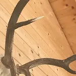 Apartmán Alpenlodge