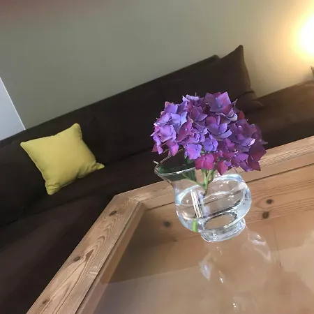 Alpenlodge Kirchbach Apartment *