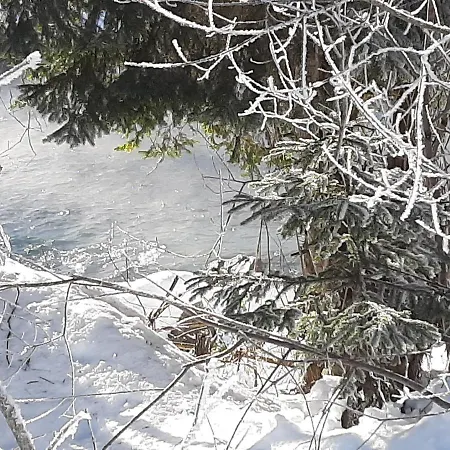 Alpenlodge Kirchbach (Carinthia)