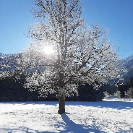 Alpenlodge Kirchbach (Carinthia)