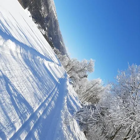 Alpenlodge Kirchbach Appartement *