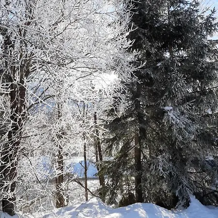 Alpenlodge * Kirchbach (Carinthia)