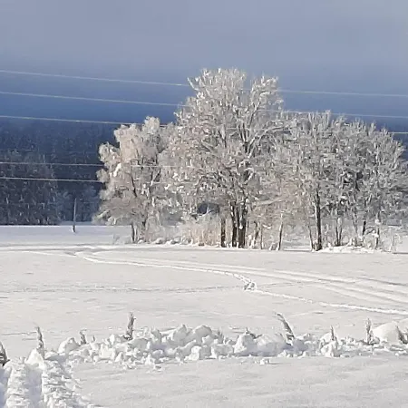 Alpenlodge Kirchbach (Carinthia)