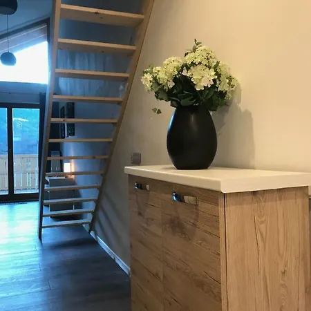 Apartment Alpenlodge Kirchbach *