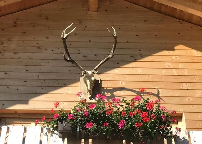 Alpenlodge Kirchbach (Carinthia)