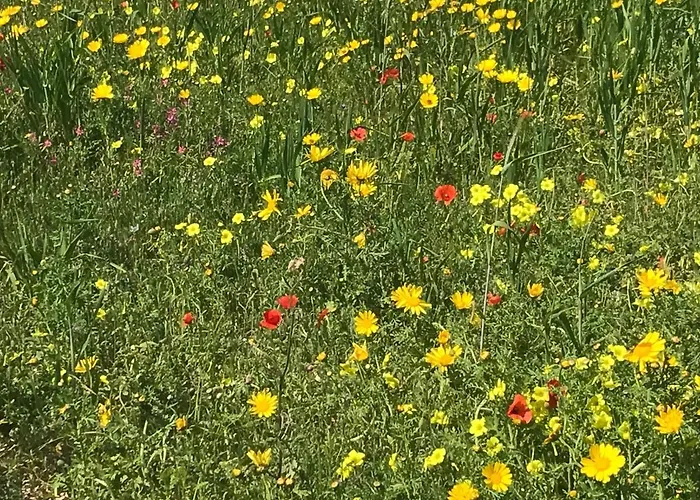 Alpenlodge Kirchbach (Carinthia)