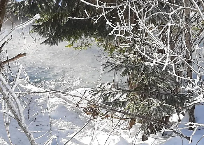 Alpenlodge Kirchbach (Carinthia)