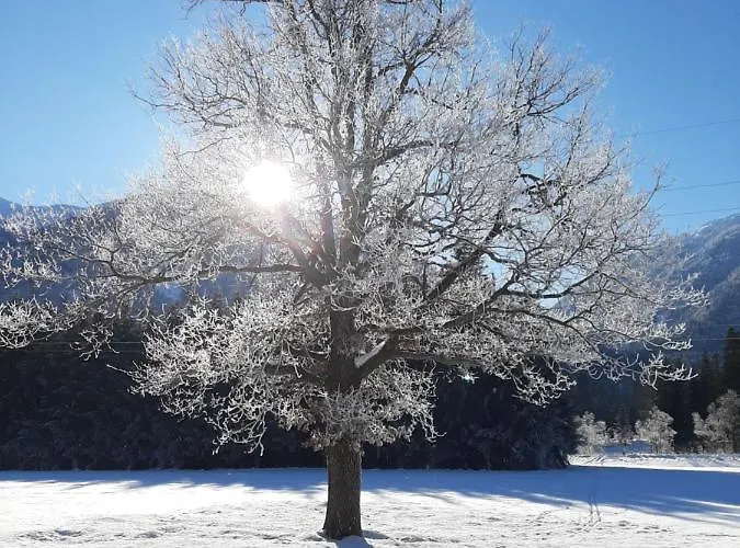 Alpenlodge Kirchbach (Carinthia)
