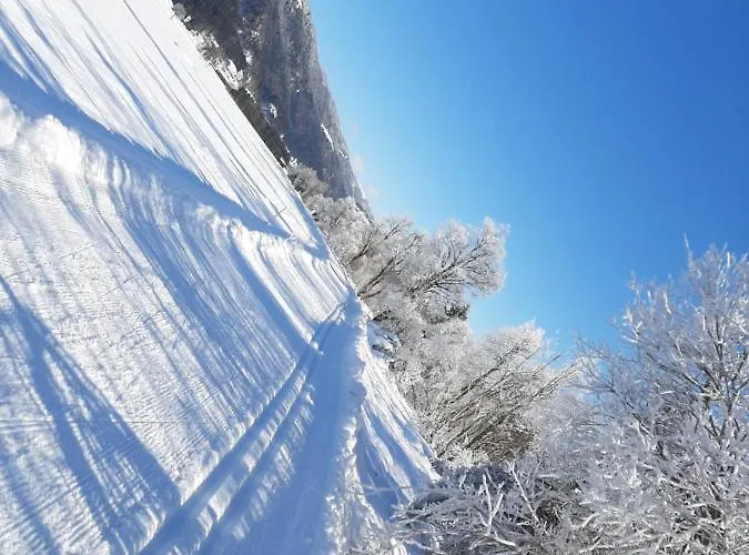 Alpenlodge Apartamento *