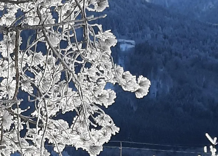 Alpenlodge Kirchbach (Carinthia)