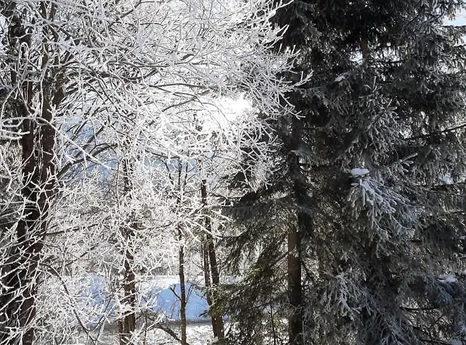 Alpenlodge * Kirchbach (Carinthia)