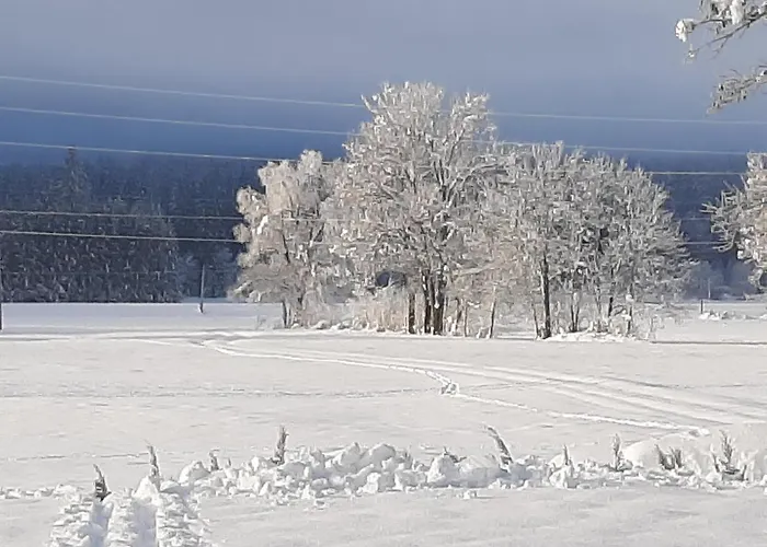 Alpenlodge Kirchbach (Carinthia)