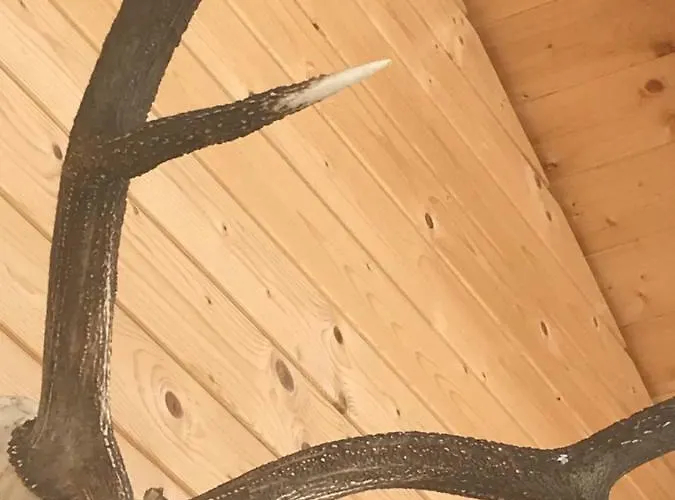 Apartament Alpenlodge